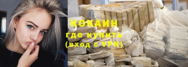 прущие грибы Козловка
