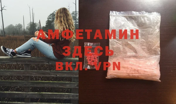 прущие грибы Козловка