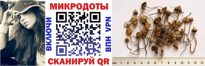 Псилоцибиновые грибы Cubensis  Купить где  Усть-Кут 